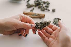 What is an online dispensary in Canada