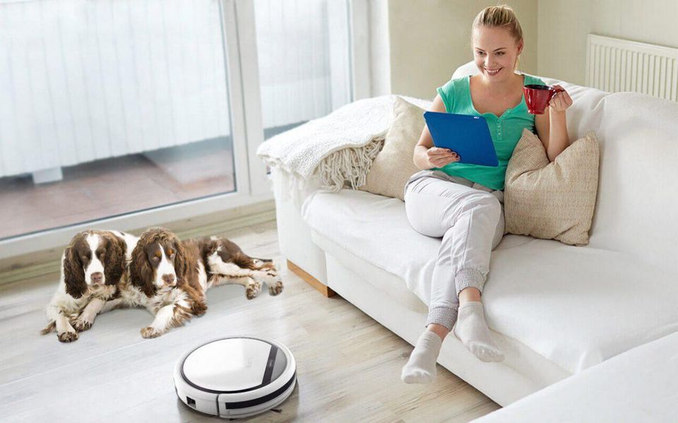 Why You Should Invest In a Roomba