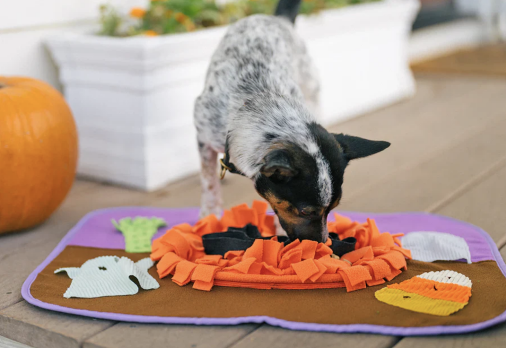 How to Choose Sustainable Gifts for Your Pets